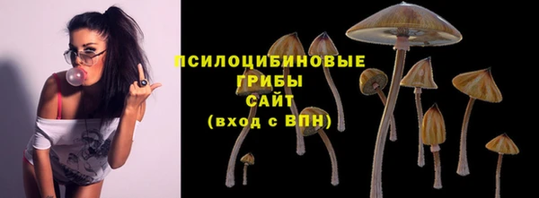 дурь Осинники