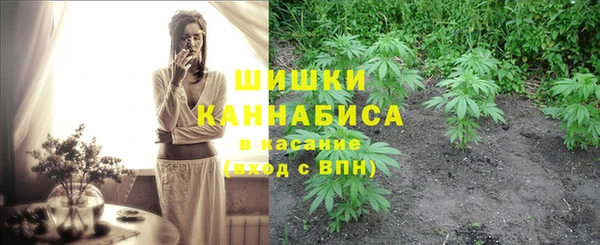дурь Осинники