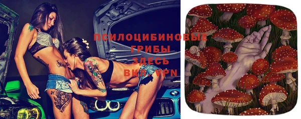 соль ск Остров