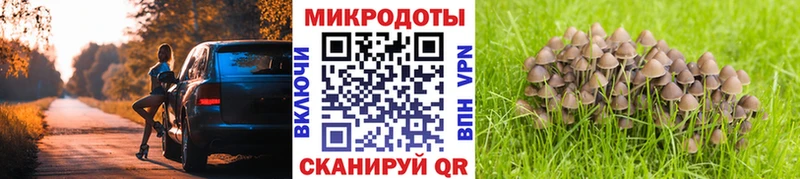Псилоцибиновые грибы GOLDEN TEACHER закладка мега маркетплейс Коломна