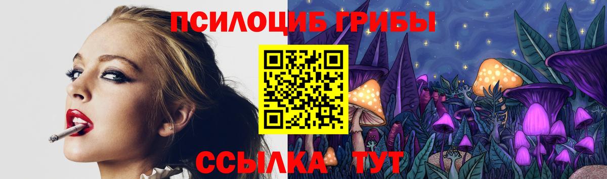 Псилоцибиновые грибы Psilocybine cubensis  хочу наркоту  Псилоцибиновые грибы Psilocybine cubensis  Коломна  Вход с VPN 